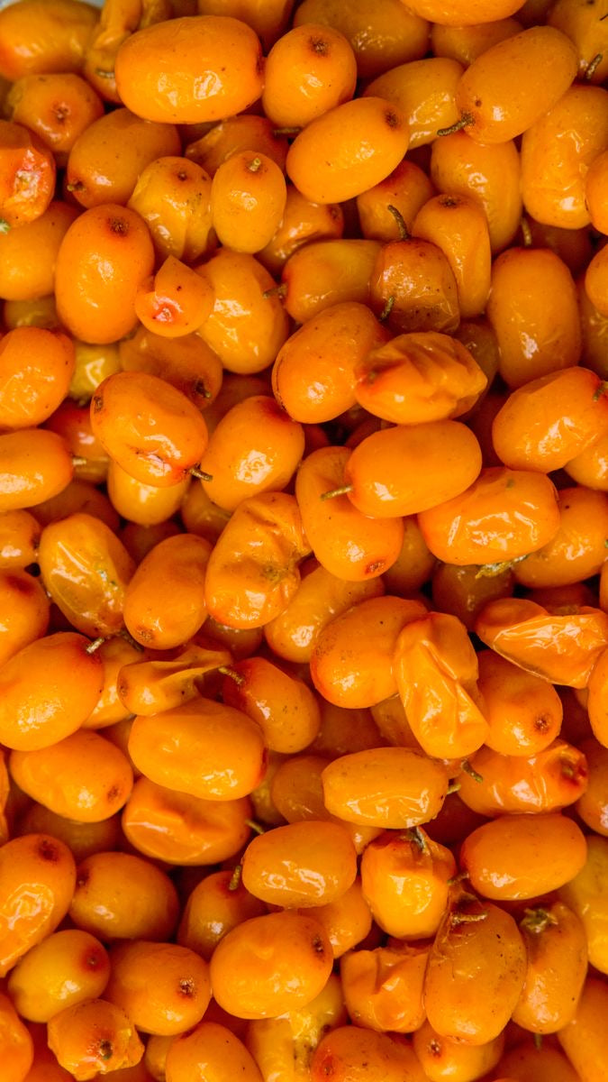 Sea Buckthorn