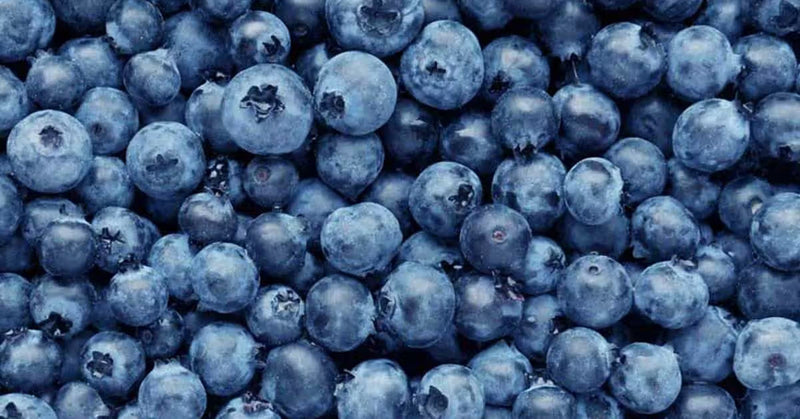 Blueberry